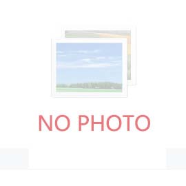 探針臺可以直接放物品嗎？
